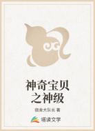 神奇宝贝之神级