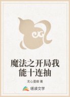 魔法之开局我能十连抽