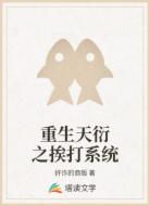 重生天衍之挨打系统