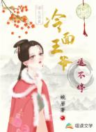 重生宠妾：冷面王爷追不停