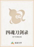 四魂刀剑录