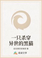 一只杀穿异世的黑猫