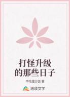 打怪升级的那些日子