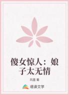 傻女惊人:娘子太无情