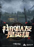 我的队友是英雄