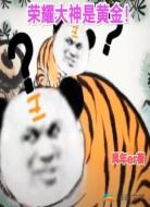 荣耀大神是黄金