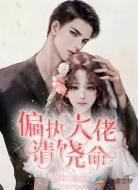 偏執(zhí)大佬請(qǐng)饒命