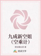 九成新空姐 （空乘计）