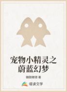 宠物小精灵之蔚蓝幻梦