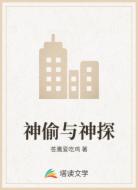 神偷与神探