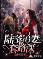 陆爷追妻套路深