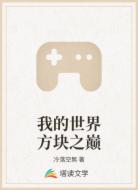 我的世界方块之巅