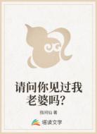 请问你见过我老婆吗?