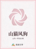 山猫风狗