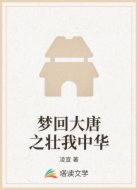 梦回大唐之壮我中华