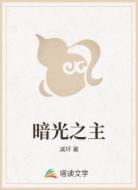 暗光之主