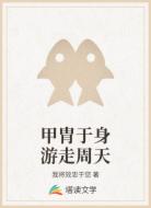 甲胄于身游走周天