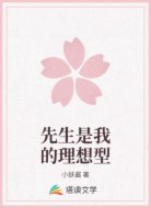 先生是我的理想型