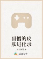 盲僧的皮肤进化录