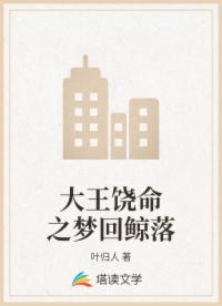 书名