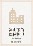 冰山下的隐秘护卫