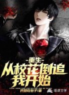 重生从校花倒追我开始