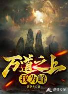 万道之上我为峰