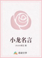 小龙名言