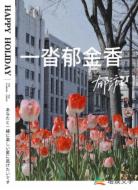 一沓郁金香