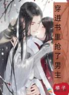 穿进书里抢了男主