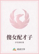 傻女配才子