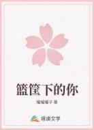篮筐下的你