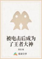 被电击后成为了王者大神