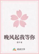 晚风起我等你