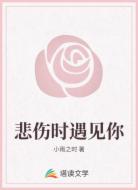 悲伤时遇见你