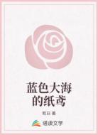 蓝色大海的纸鸢
