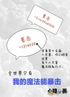 全世界只有我的魔法能暴击