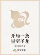 开局一条星空圣龙