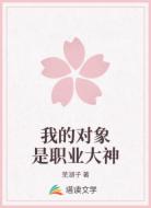 我的对象是职业大神