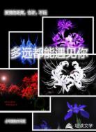 多远都能遇见你