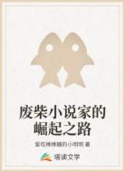 废柴小说家的崛起之路