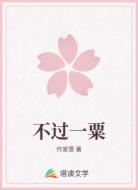 不过一粟