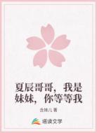夏辰哥哥,我是妹妹,你等等我