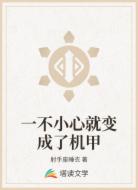 一不小心就变成了机甲