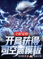 全职觉醒:开局获得司空震模板