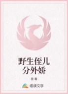 野生侄儿分外娇