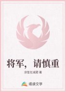 将军，请慎重