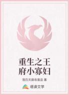 重生之王府小寡妇