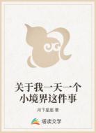 关于我一天一个小境界这件事