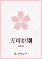 无可挑剔